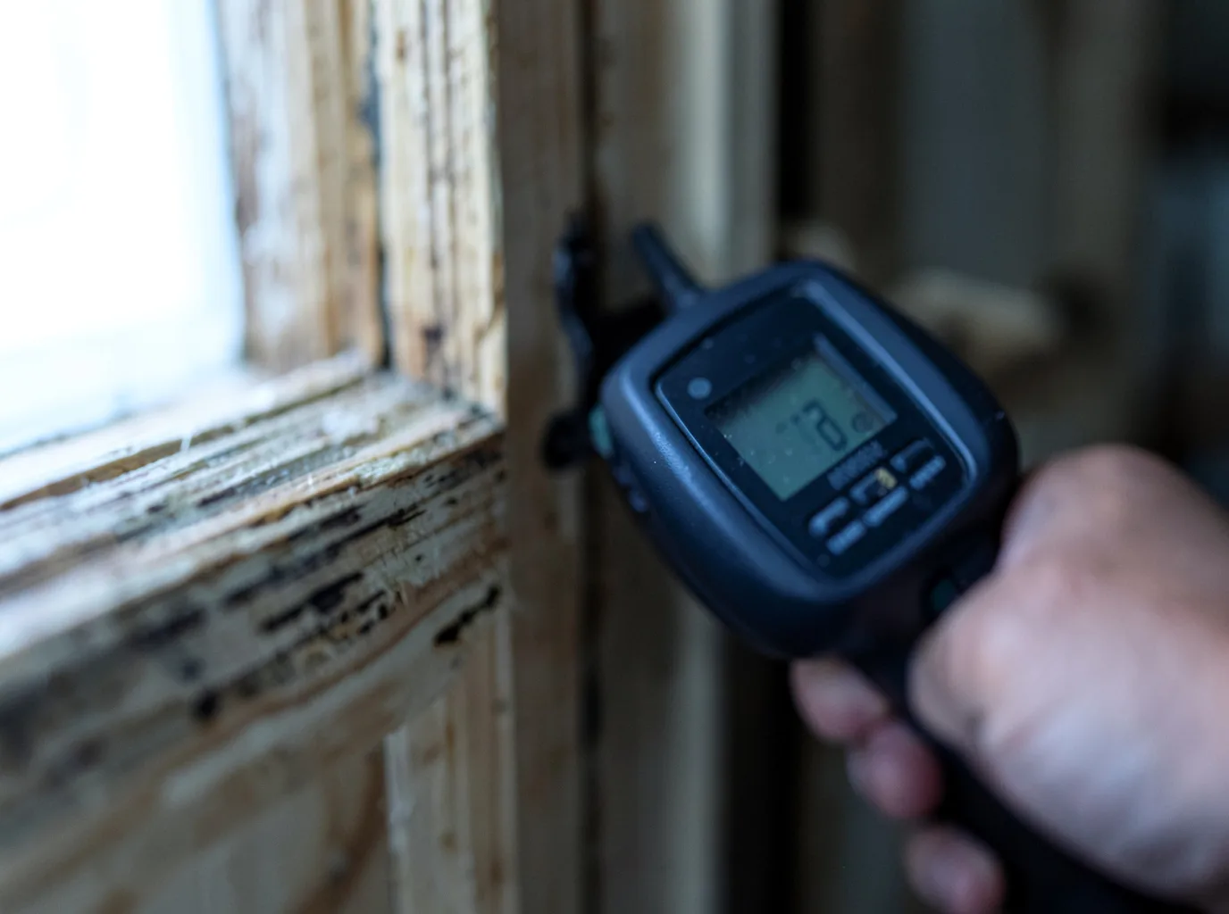 Commercial Water Damage Restoration in Northampton, PA